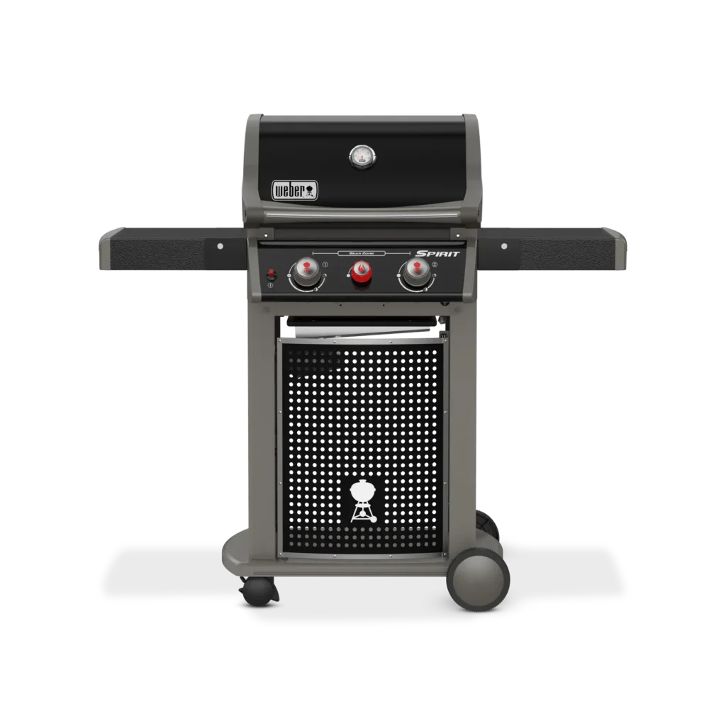 Barbacoa de gas negra con dos quemadores