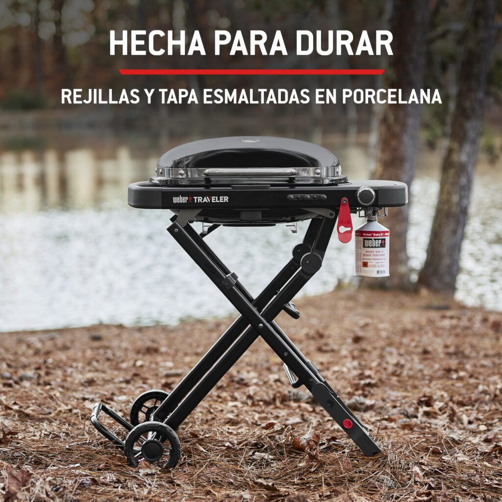 Barbacoa portátil junto a un lago.