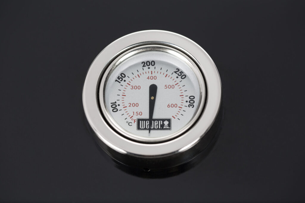 e310 thermometer black c scaled 1.jpg