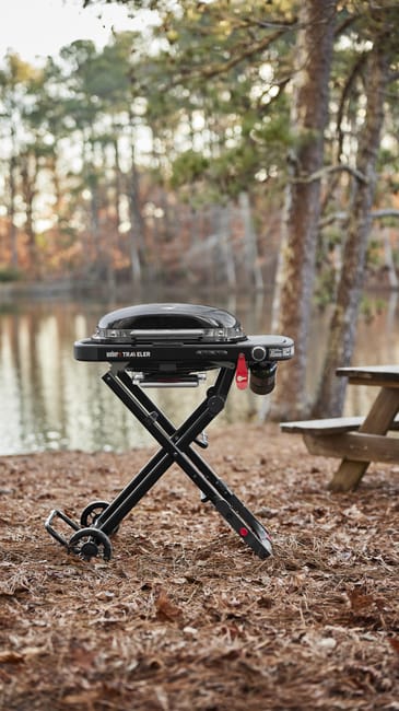 Parrilla portátil junto a un lago y árboles.