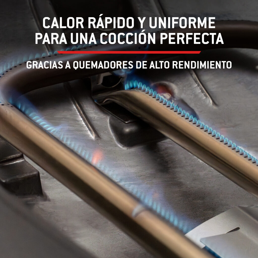 Quemadores de alto rendimiento con llama azul