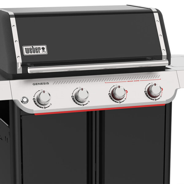 Barbacoa de gas con cuatro quemadores
