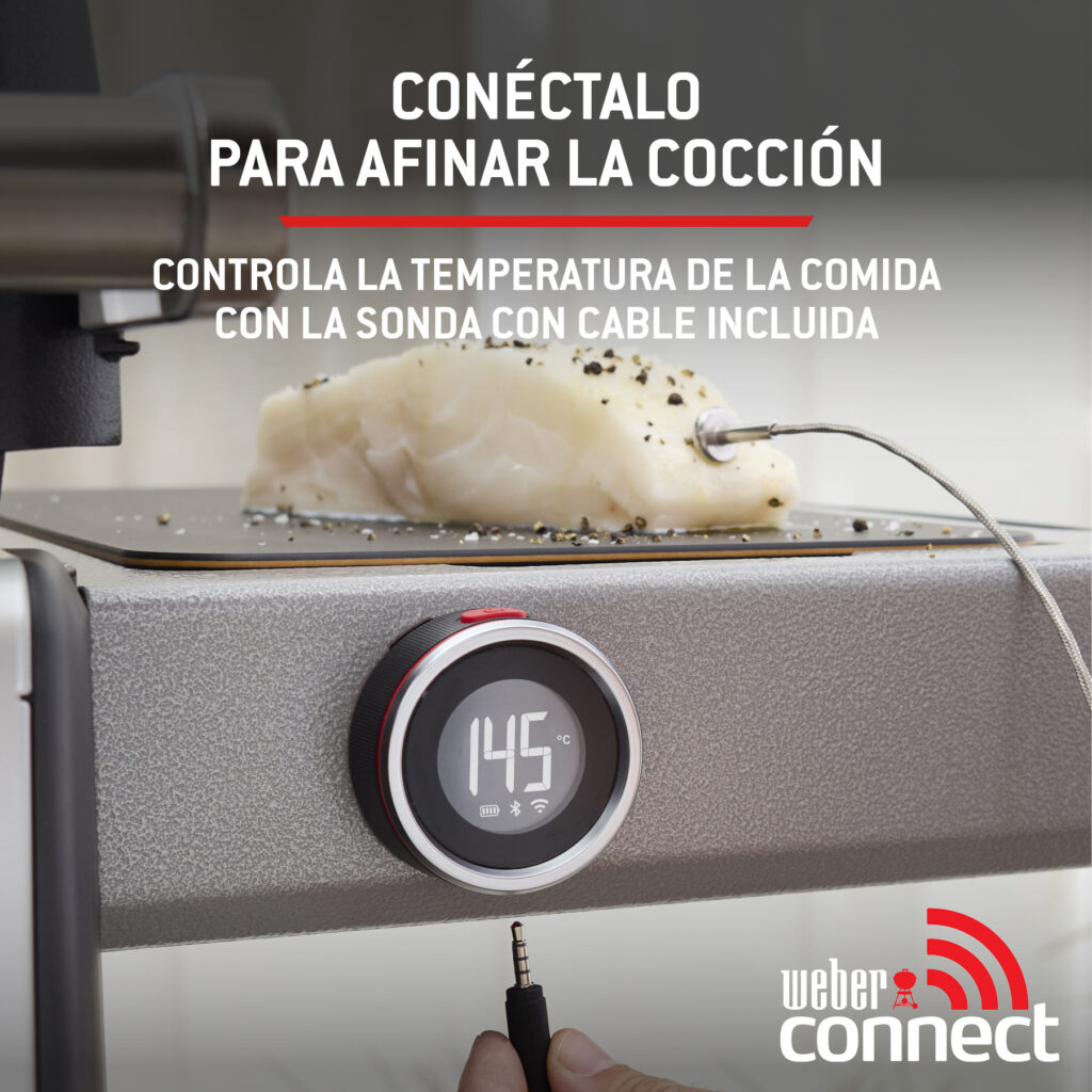 Sonda de temperatura conectada a un dispositivo.