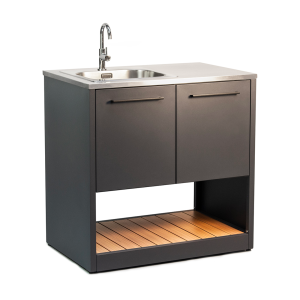 Modulo de cocina con fregadero y armarios.